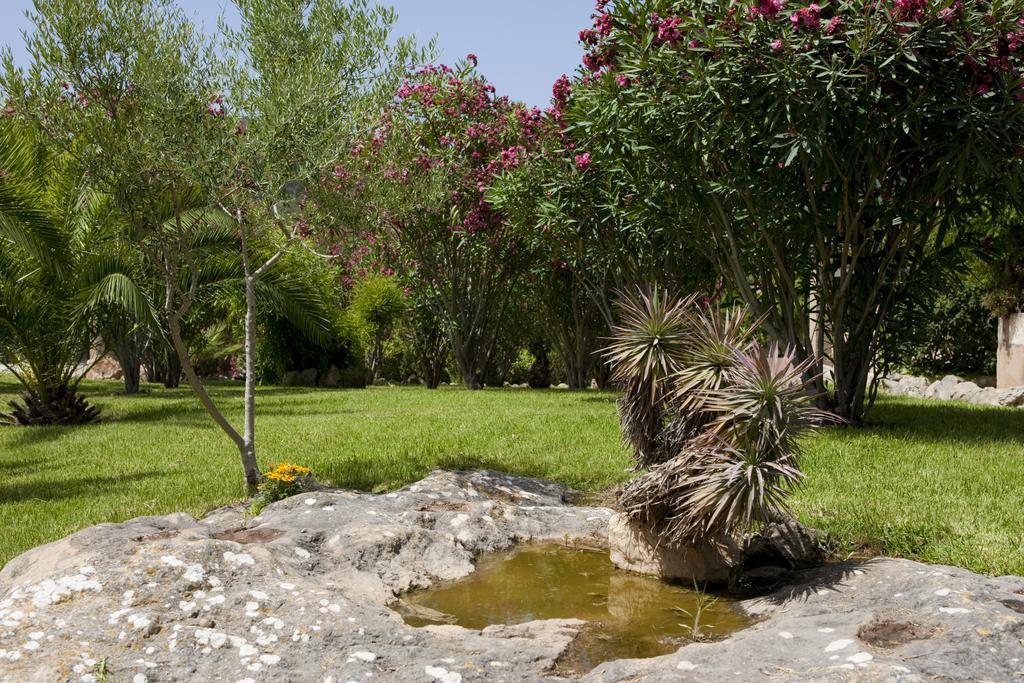 Agroturismo Can Patro Manacor (Mallorca) Exterior photo