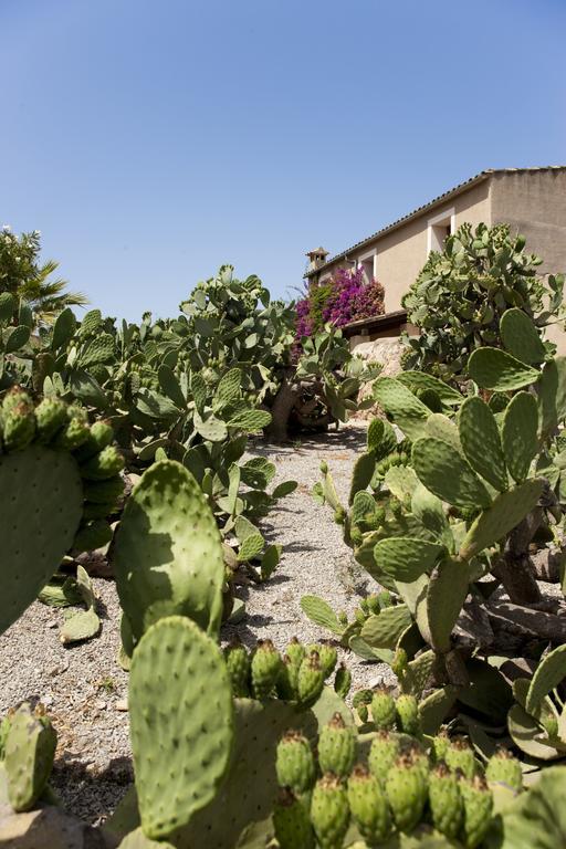 Agroturismo Can Patro Manacor (Mallorca) Exterior photo